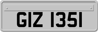 GIZ1351