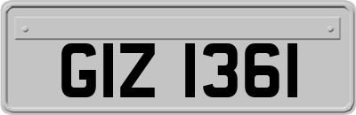 GIZ1361