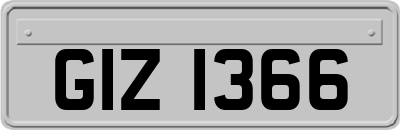 GIZ1366