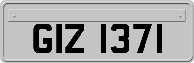 GIZ1371