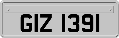 GIZ1391