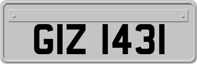 GIZ1431