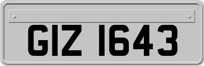 GIZ1643