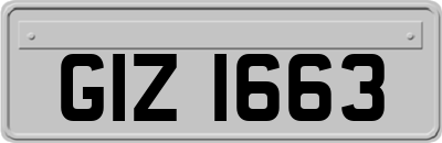 GIZ1663