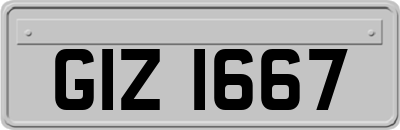 GIZ1667