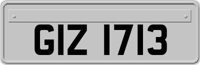 GIZ1713