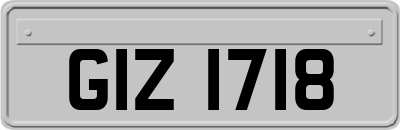 GIZ1718