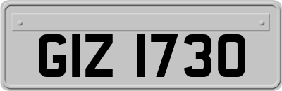 GIZ1730