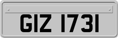 GIZ1731