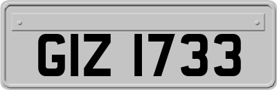 GIZ1733