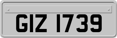 GIZ1739