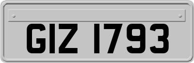 GIZ1793