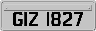 GIZ1827