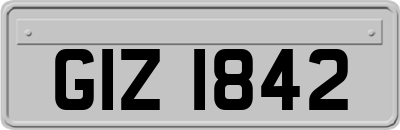 GIZ1842