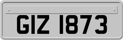 GIZ1873