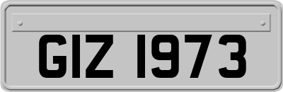 GIZ1973