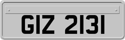 GIZ2131