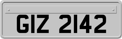 GIZ2142