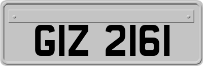 GIZ2161