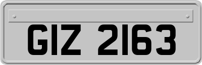 GIZ2163