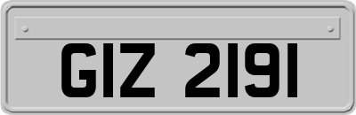 GIZ2191