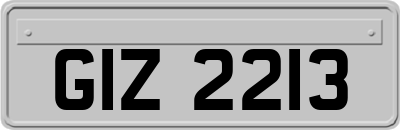 GIZ2213