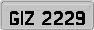 GIZ2229