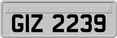 GIZ2239