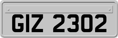 GIZ2302