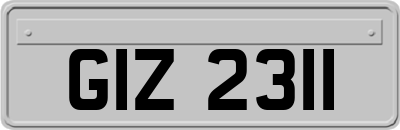 GIZ2311