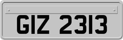 GIZ2313