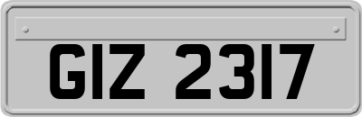 GIZ2317