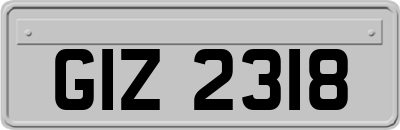 GIZ2318