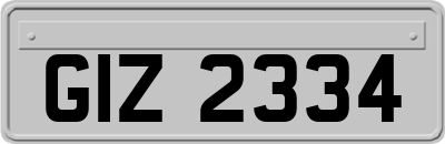 GIZ2334