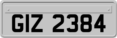 GIZ2384