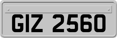 GIZ2560