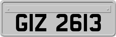 GIZ2613