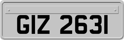GIZ2631