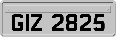 GIZ2825