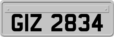 GIZ2834