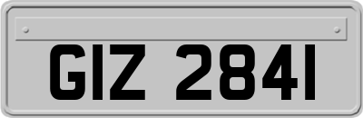 GIZ2841