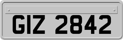 GIZ2842