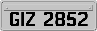 GIZ2852
