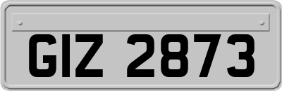 GIZ2873