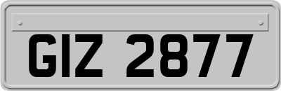GIZ2877