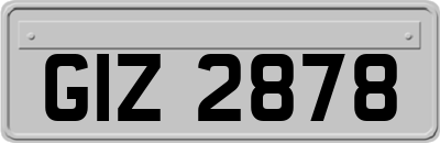 GIZ2878