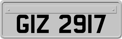 GIZ2917