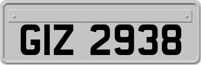 GIZ2938