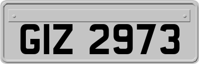GIZ2973