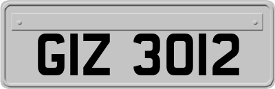 GIZ3012